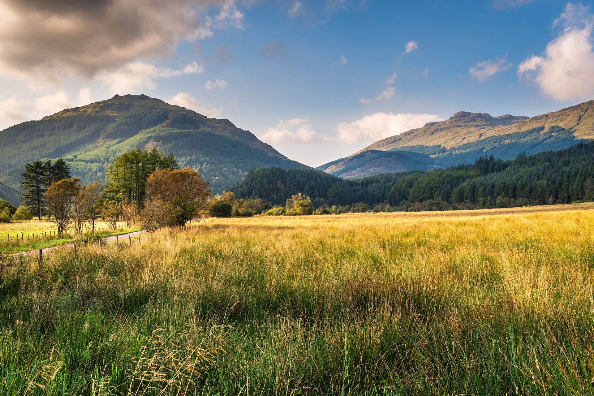 1719300088_176_7-geriausi-pasivaiksciojimai-Lomondo-ezere-ir-Trossachs-nacionaliniame-parke