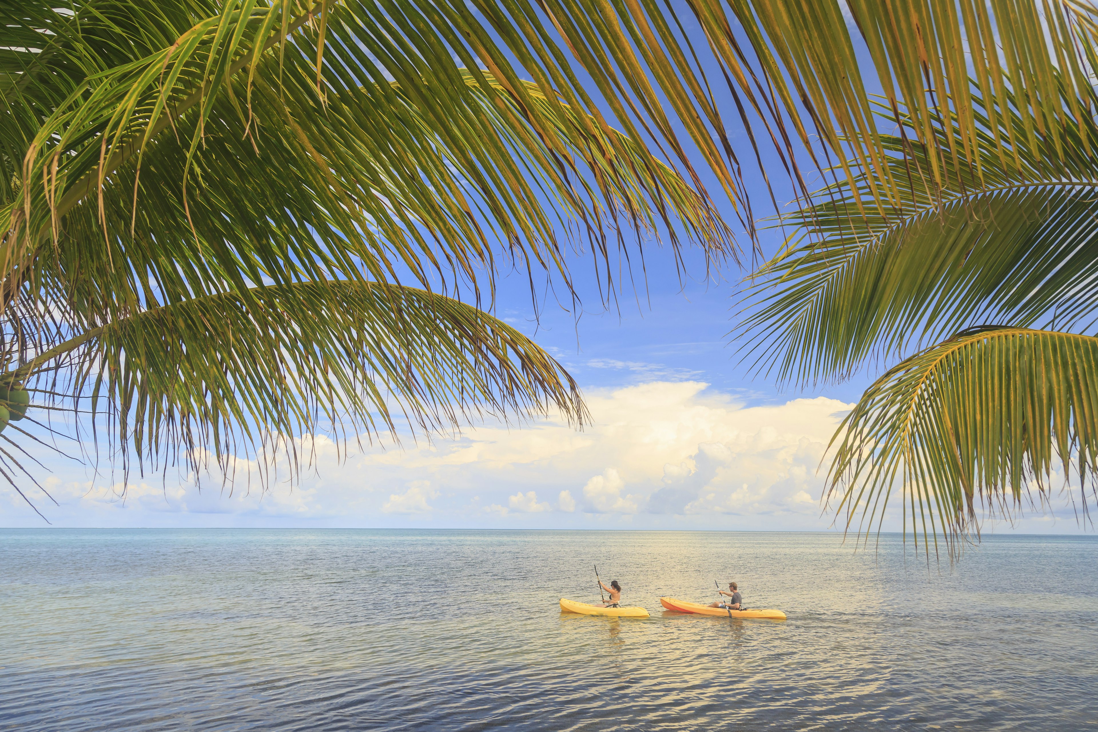 Du žmonės baidarės ramiose jūrose Belize, nufilmuoti su palmių frondais