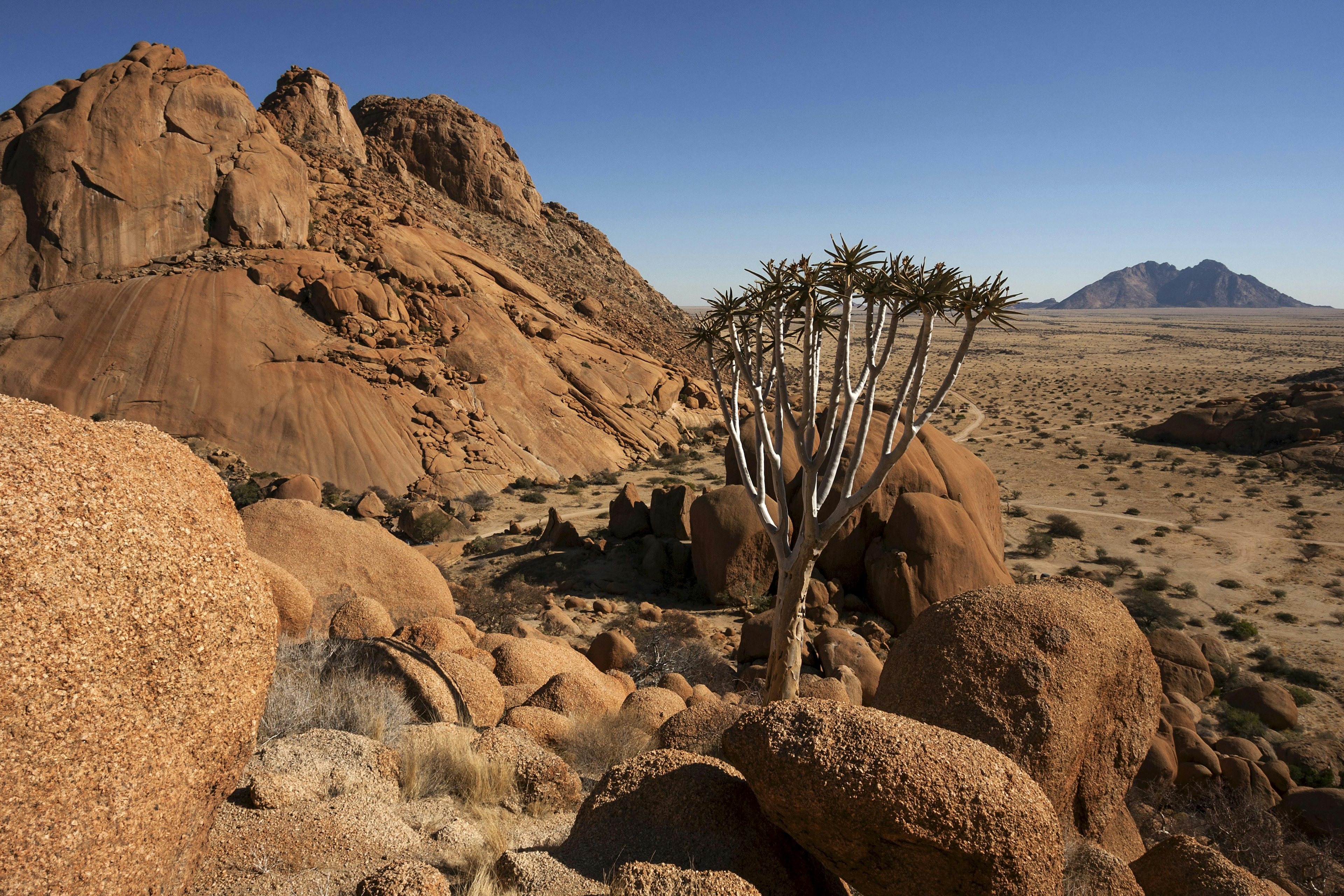 Damaralande, Namibijoje, „Quiver Tree“ ir „Rocky“ atodangos.