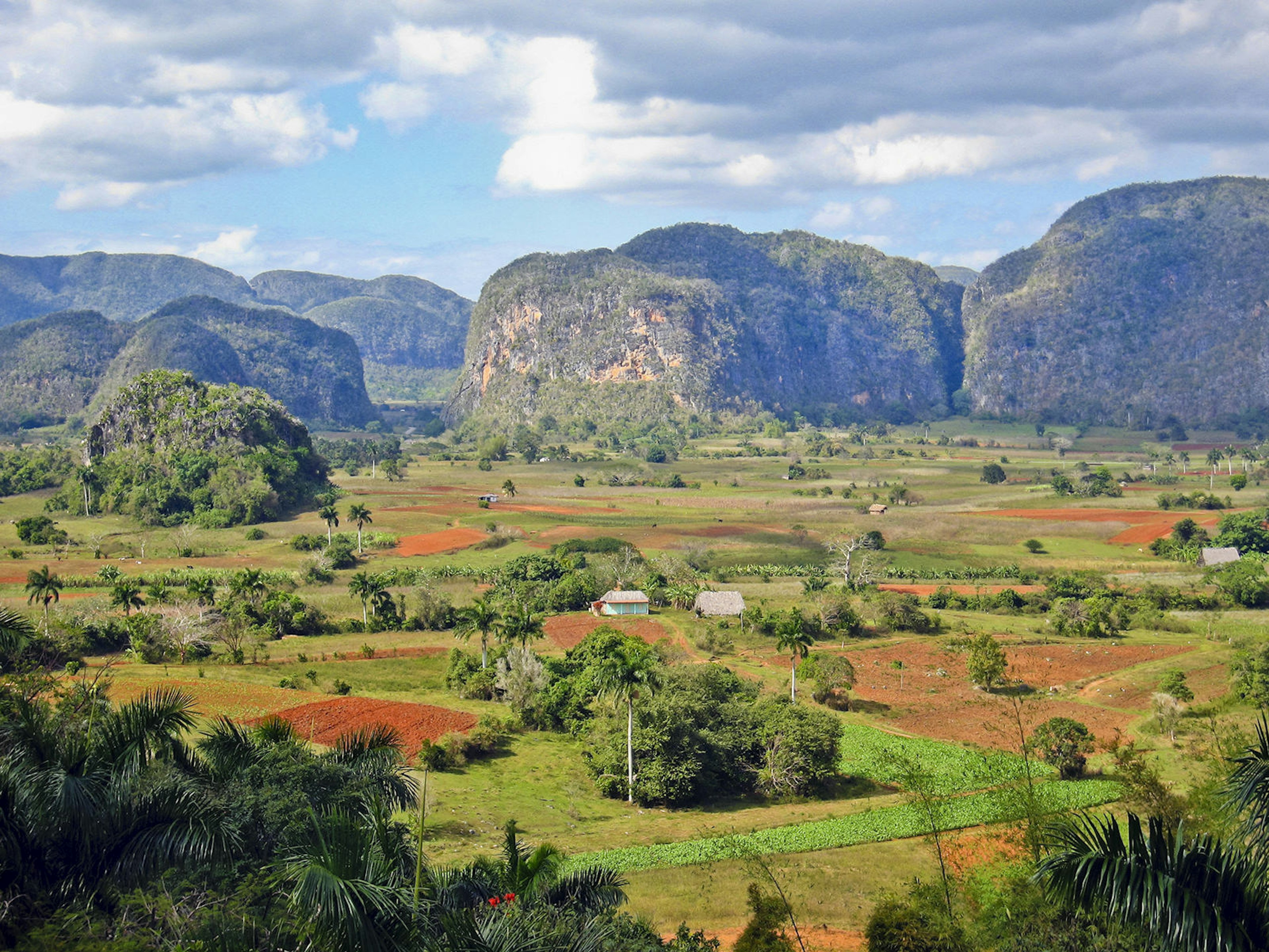 Kalkakmenio kalvos „Valle de Viñales“ Kuboje kyla virš tabako ūkių, o žalios