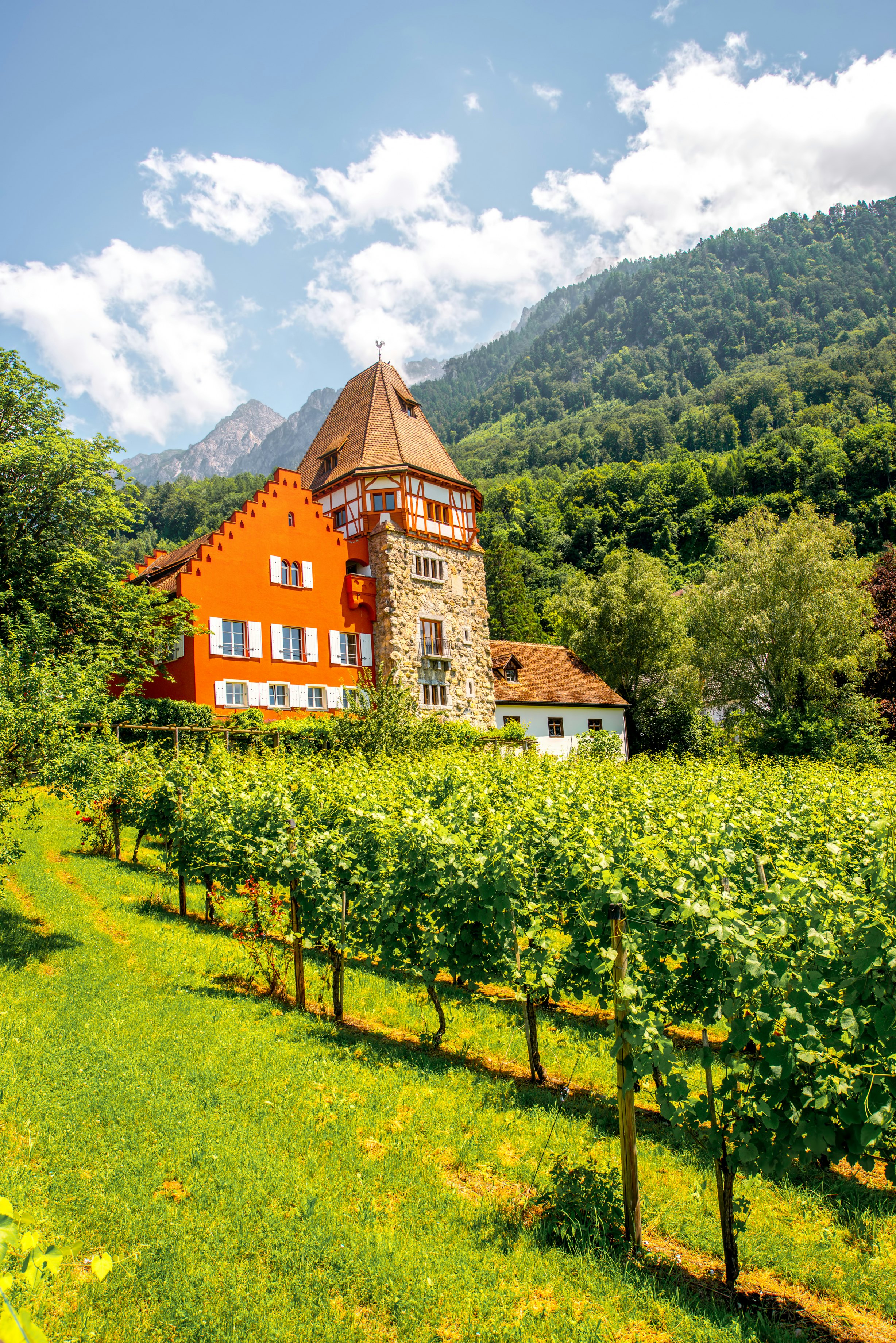 Garsūs raudonieji namai su „Wineyard“, priklausančiu Rheinbergerų šeimai Vaduz mieste, Lichtenšteine. Šis namas yra labai populiarus turistų traukos objektas Lichtenšteine