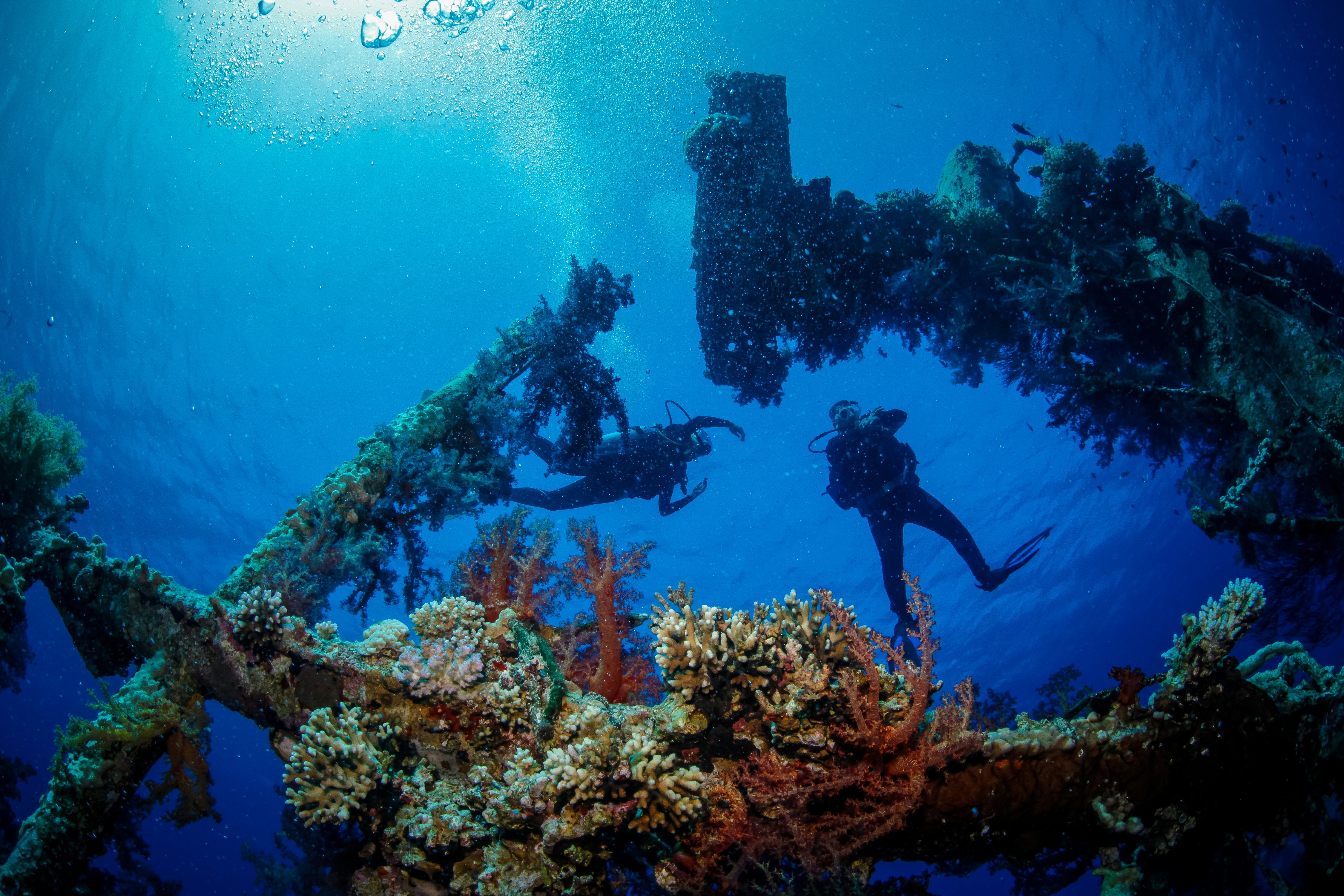 Du „Scuba“ narai plūduriuoja virš laivo nuolaužos, kurioje yra daugybė skirtingų rūšių koralų