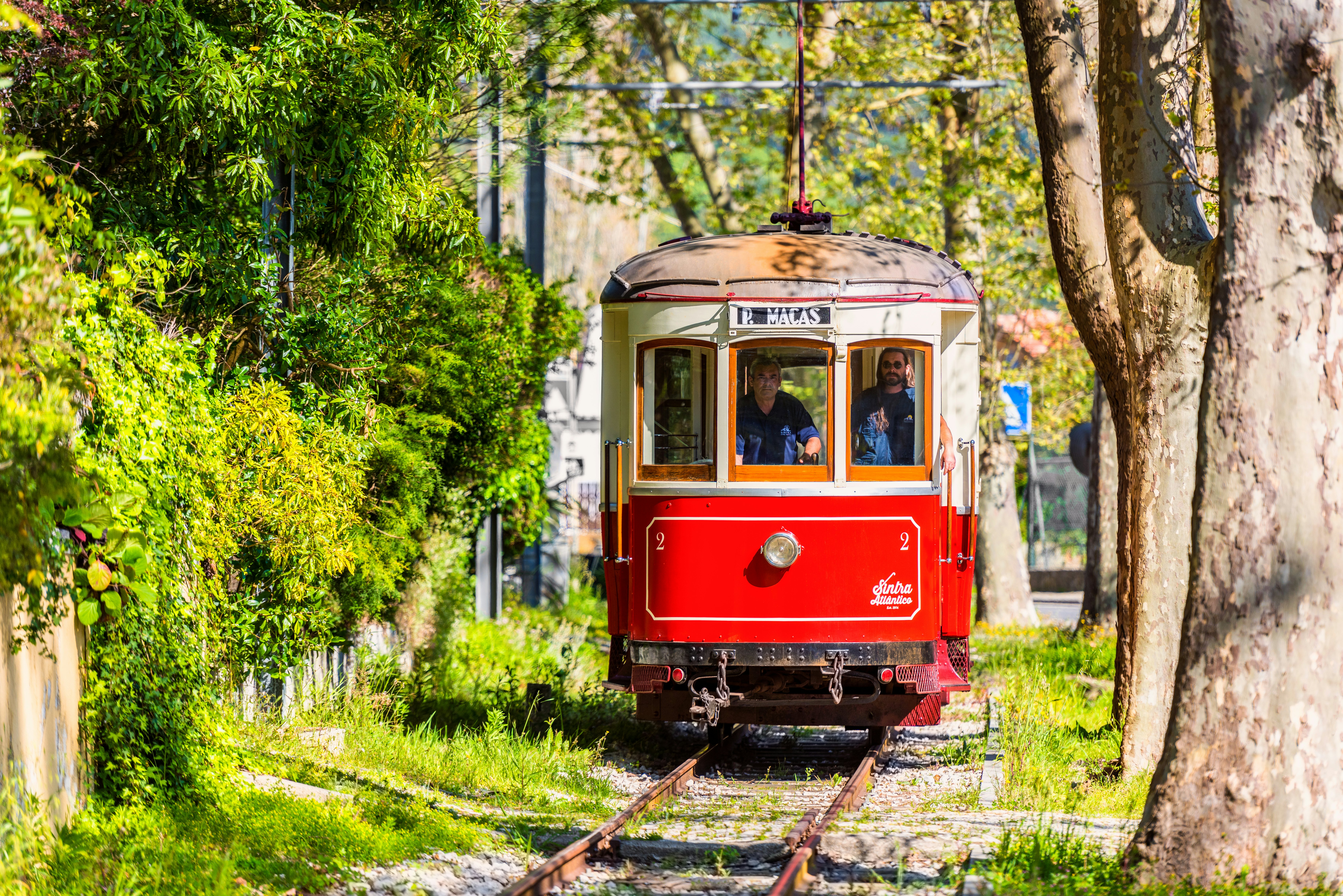 Istorinis raudonas dažytas tramvajus pavaizduotas iš priekinių trasų, apjuostų medžių apsuptais takeliais