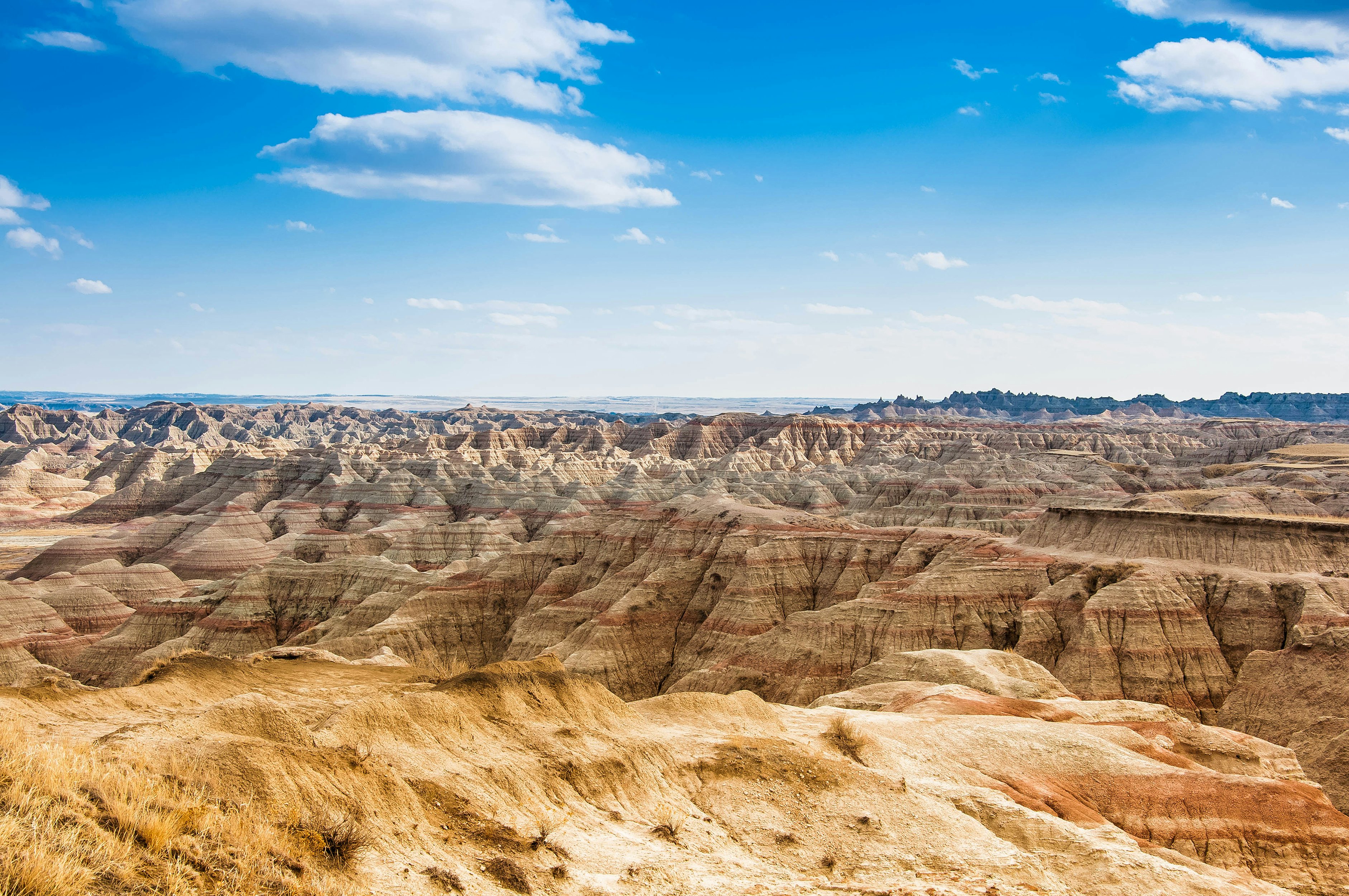 Shutterstockrf_187874348.jpg