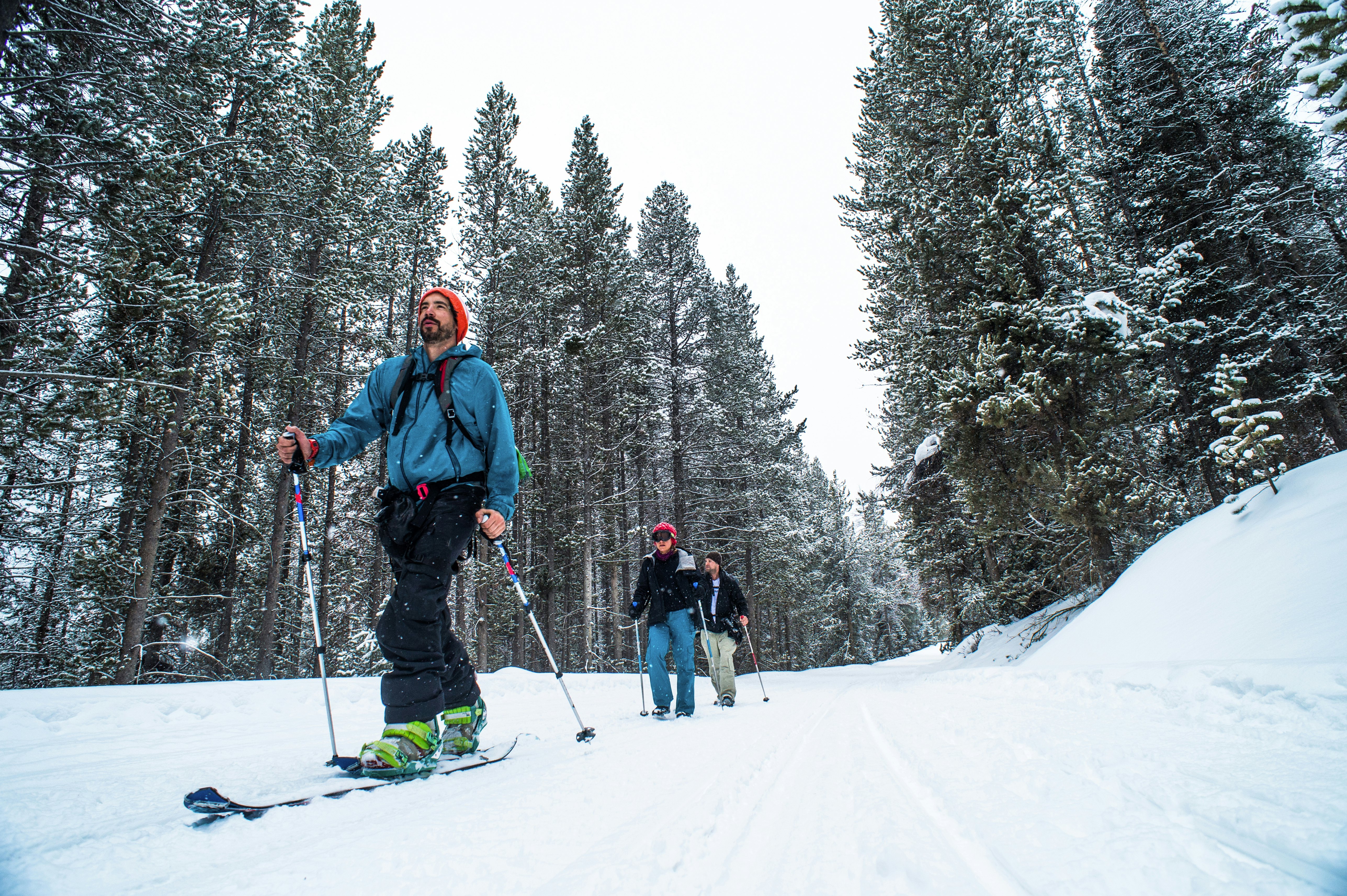 Leiskitės į Jackson Hole aplinką ir stebėkite laukinius gyvūnus. Rob Hammer/Getty Images