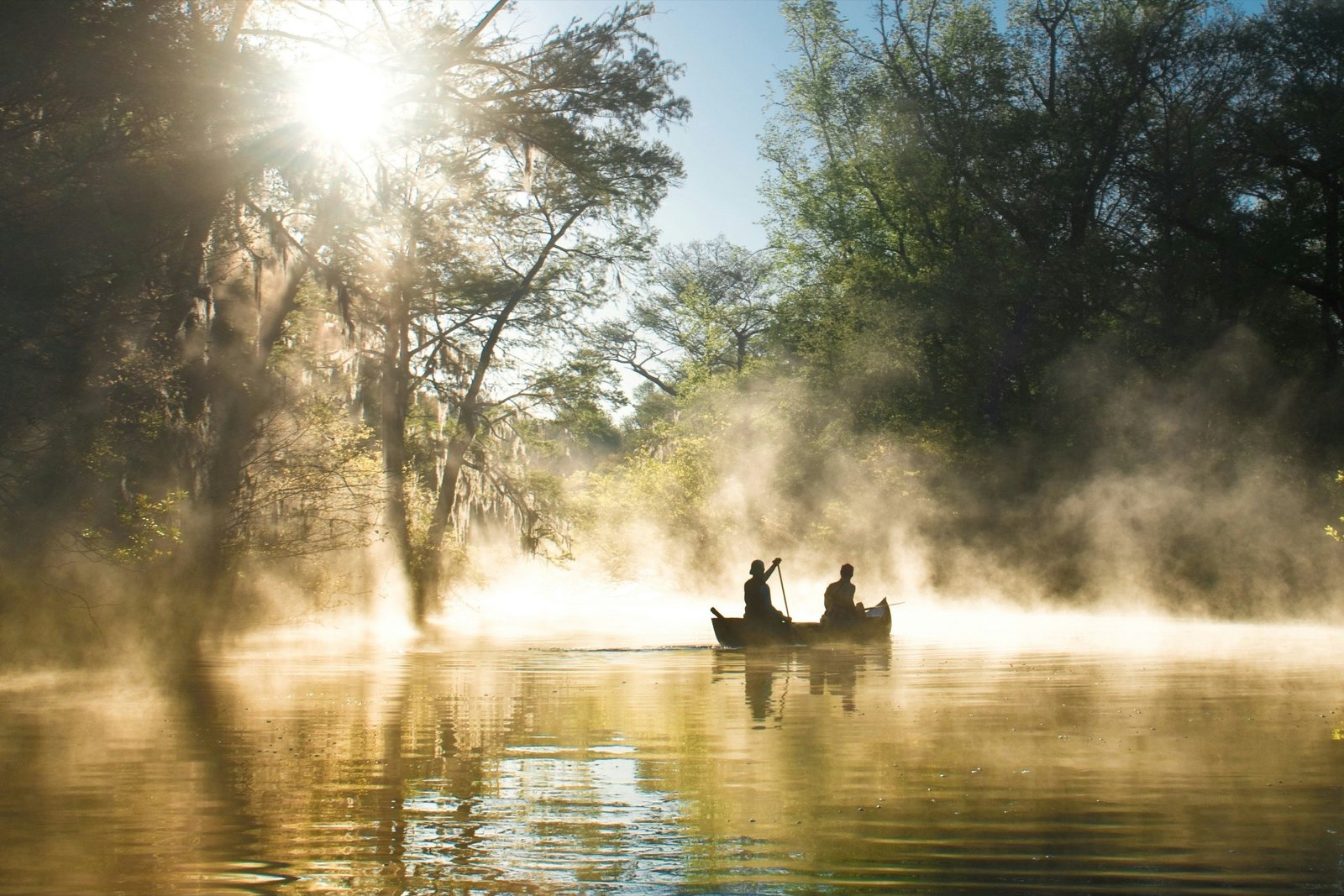 Žmonės irkluoja baidarėmis Everglades, kai aplink juos kyla rūkas