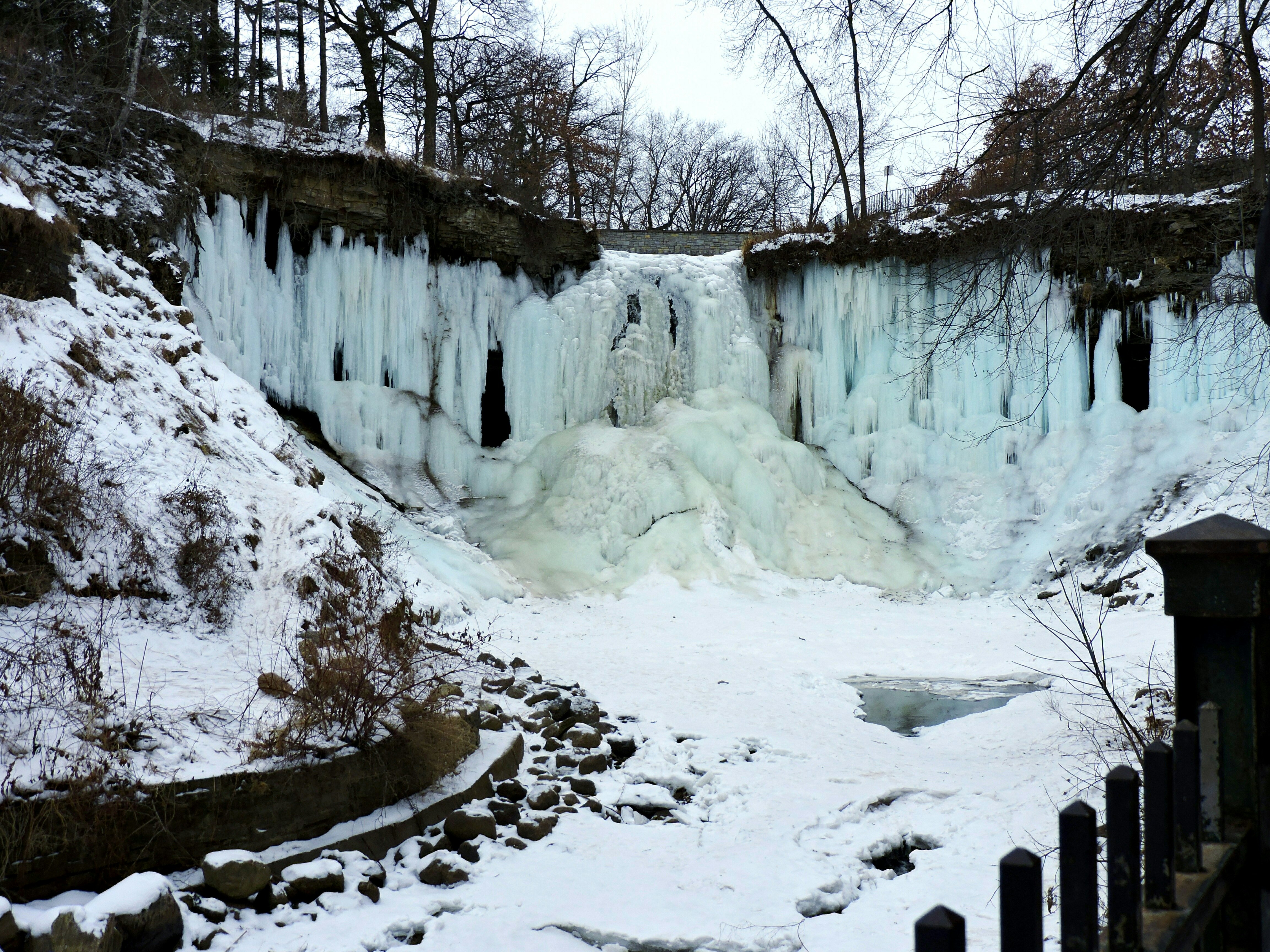 Užšaldyti Minnehaha kriokliai tarp medžių