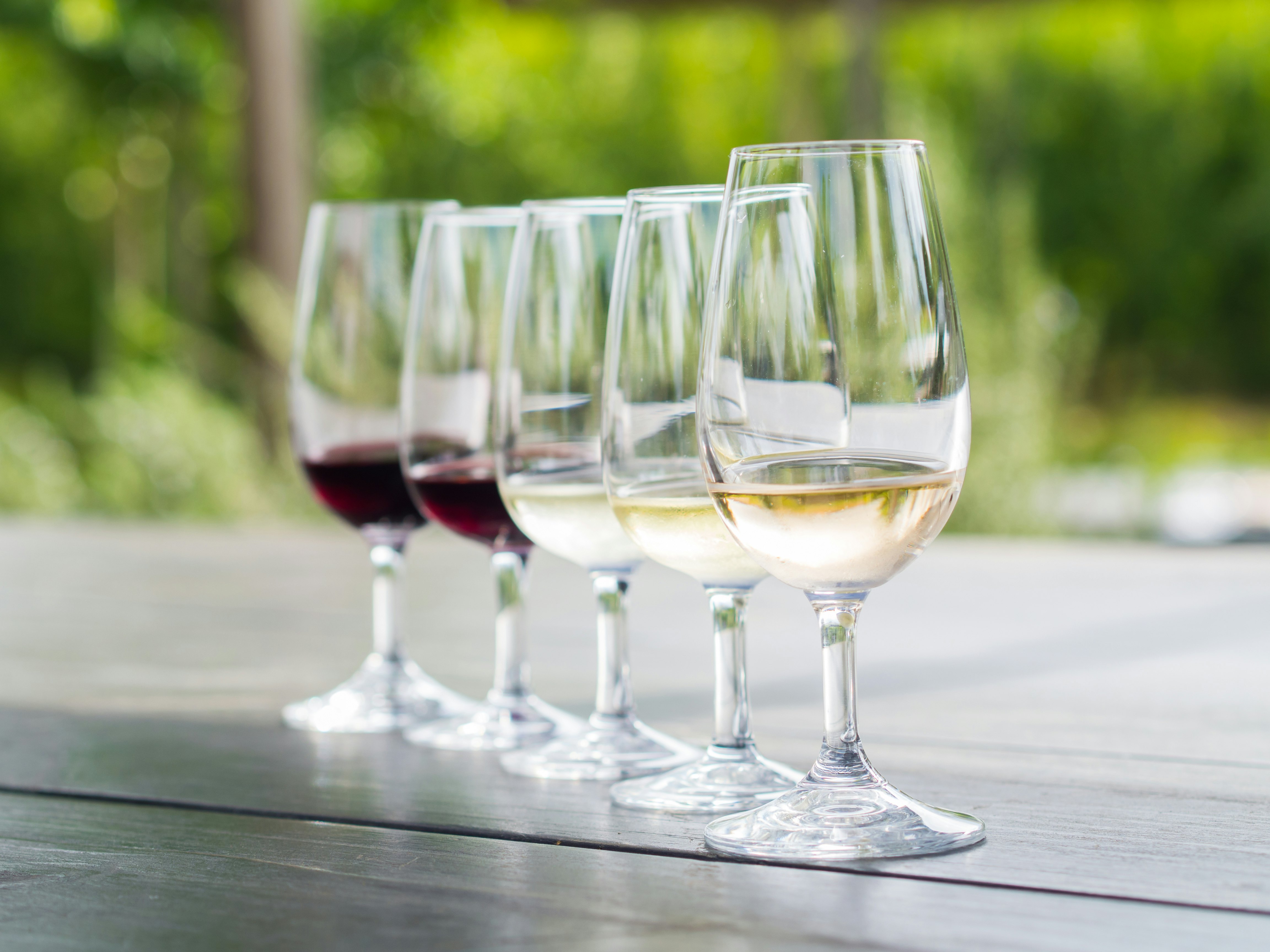 Degustuojamas vynas Stellenbosch regione, Pietų Afrikoje
