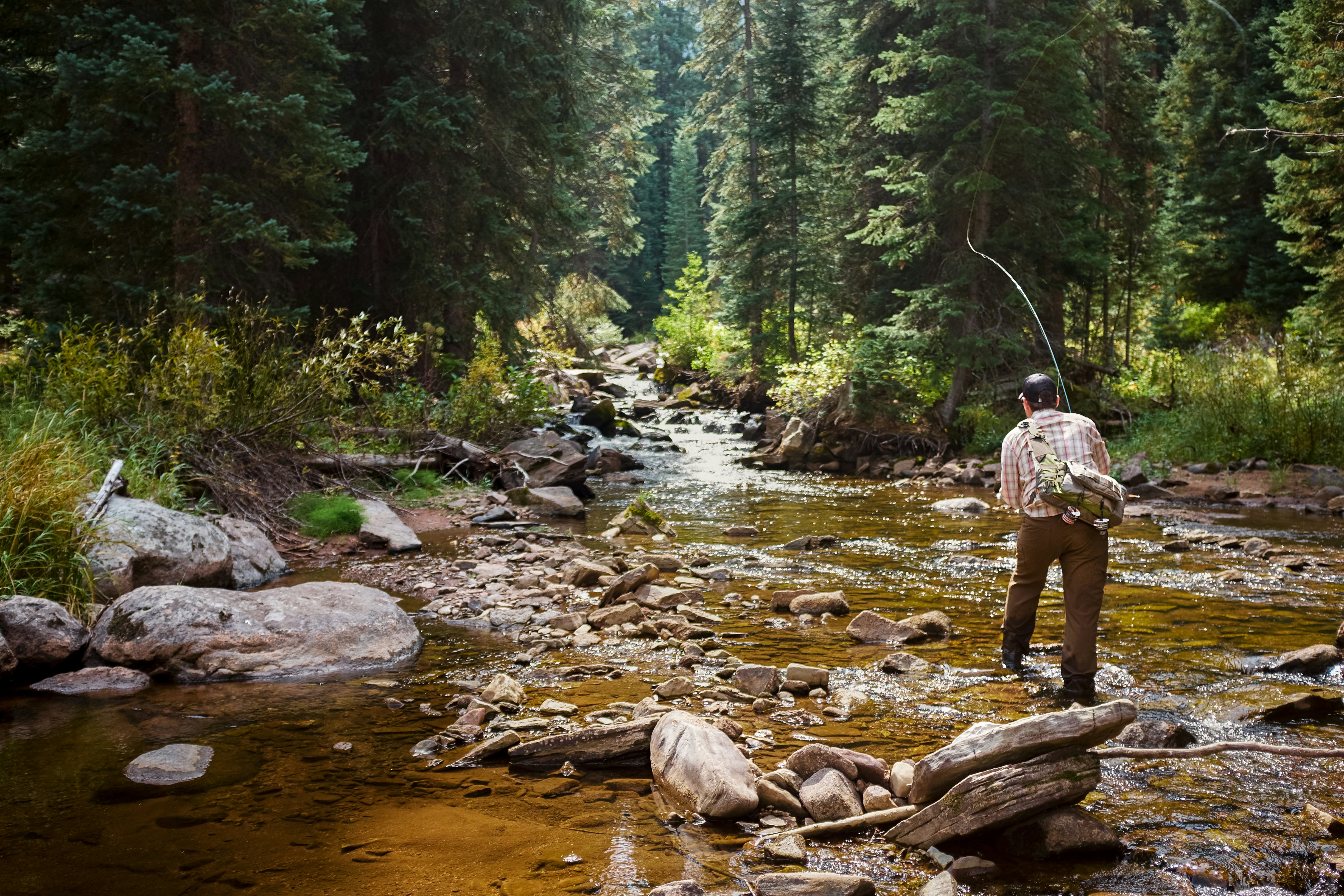 Žvejyba museline meškere Vailio upeliuose ir upėse – puiki veikla gamtos mylėtojams. Shutterstock