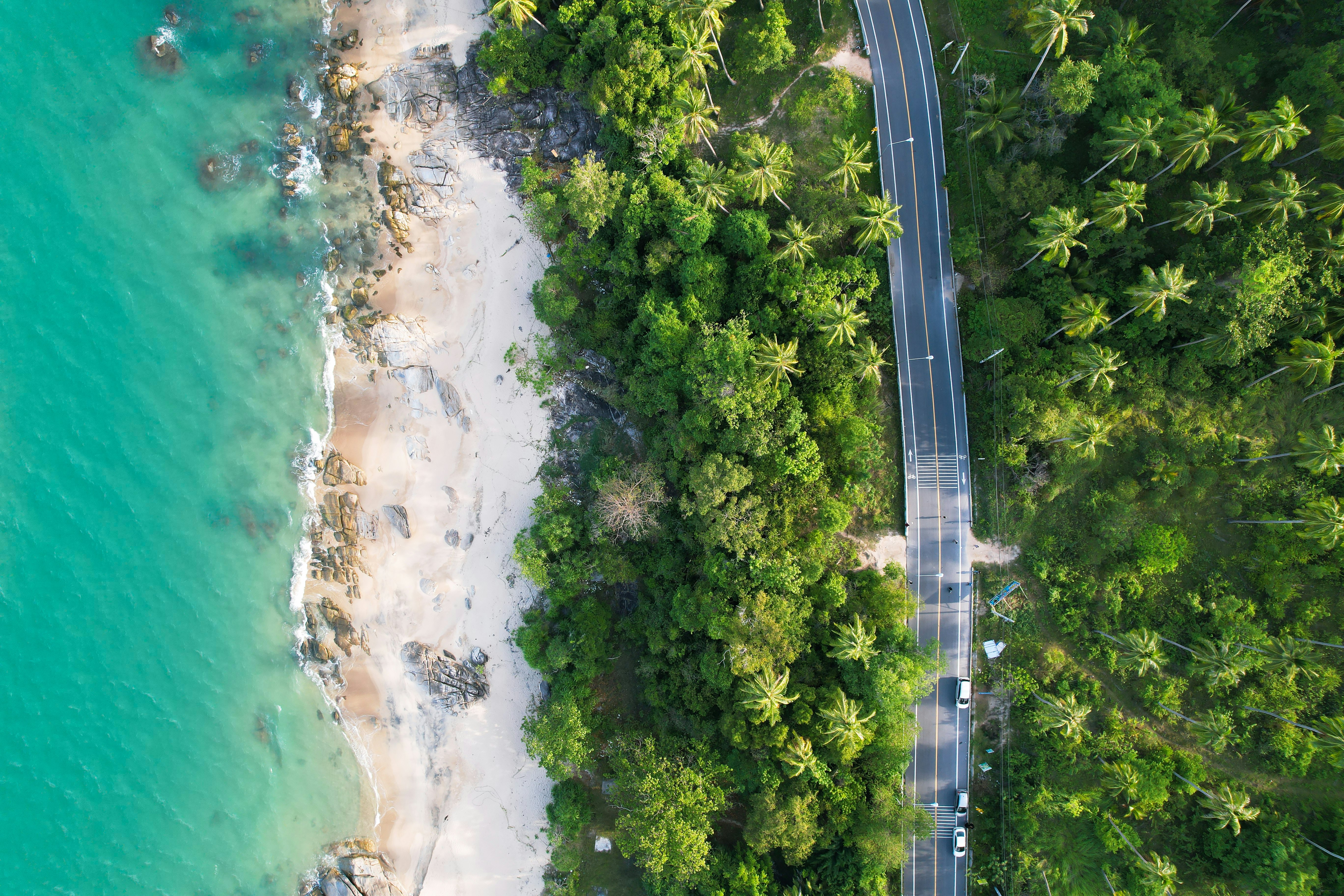 An aerial view of cars on a paved road parallel to the beach and turquoise waters, separated by lush green palm trees near Phuket, Thailand