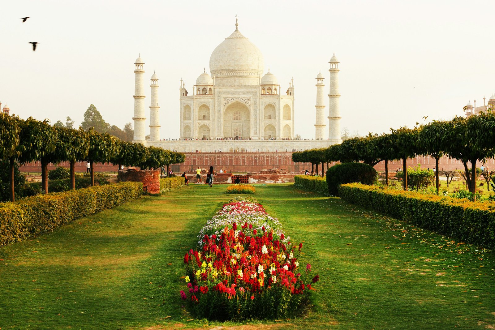 Taj Mahal Saulėlydžio šviesoje, Agra, Utar Pradešas, Indija