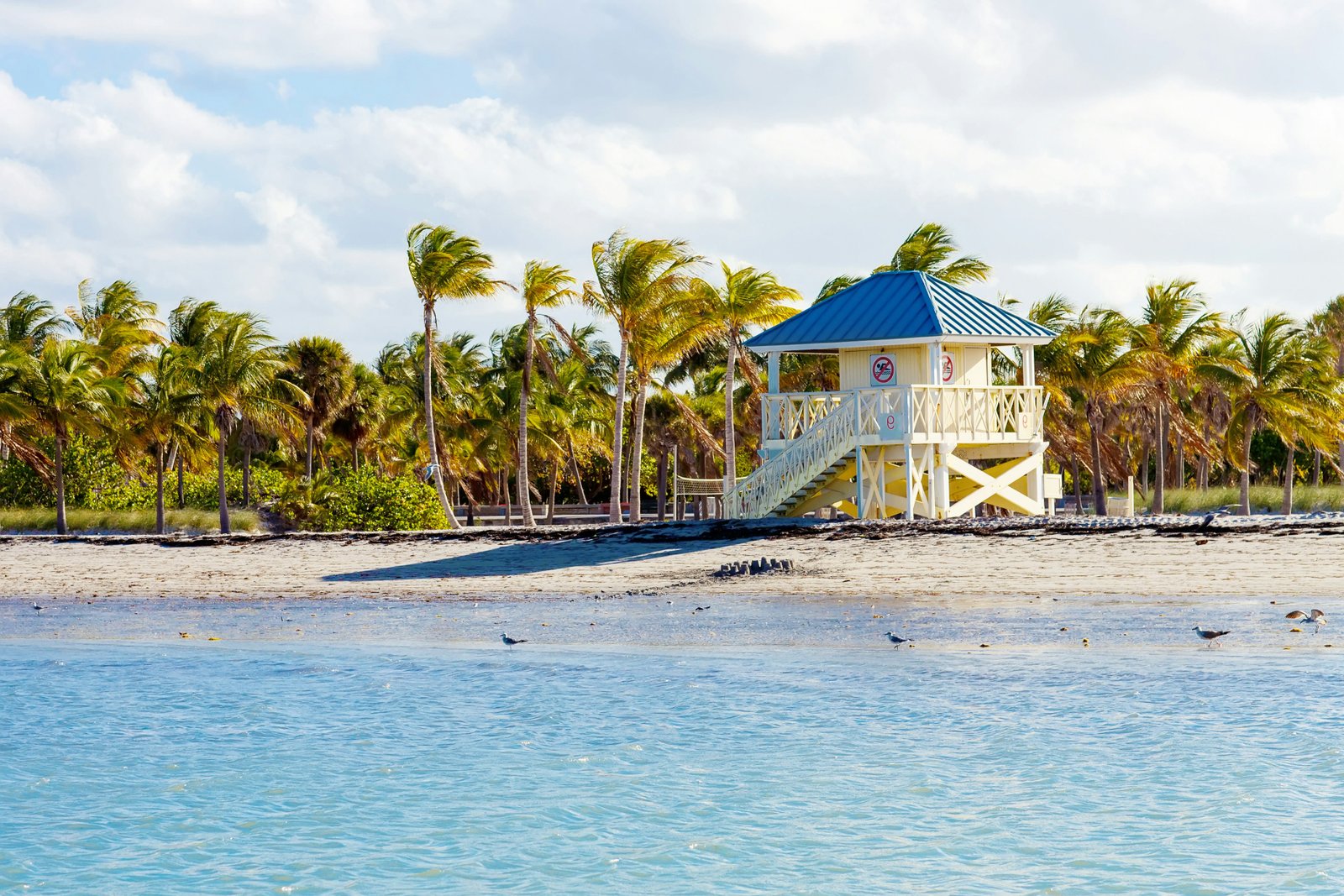 Crandon Park Beach yra Key Biscayne mieste Majamyje, Floridoje, JAV