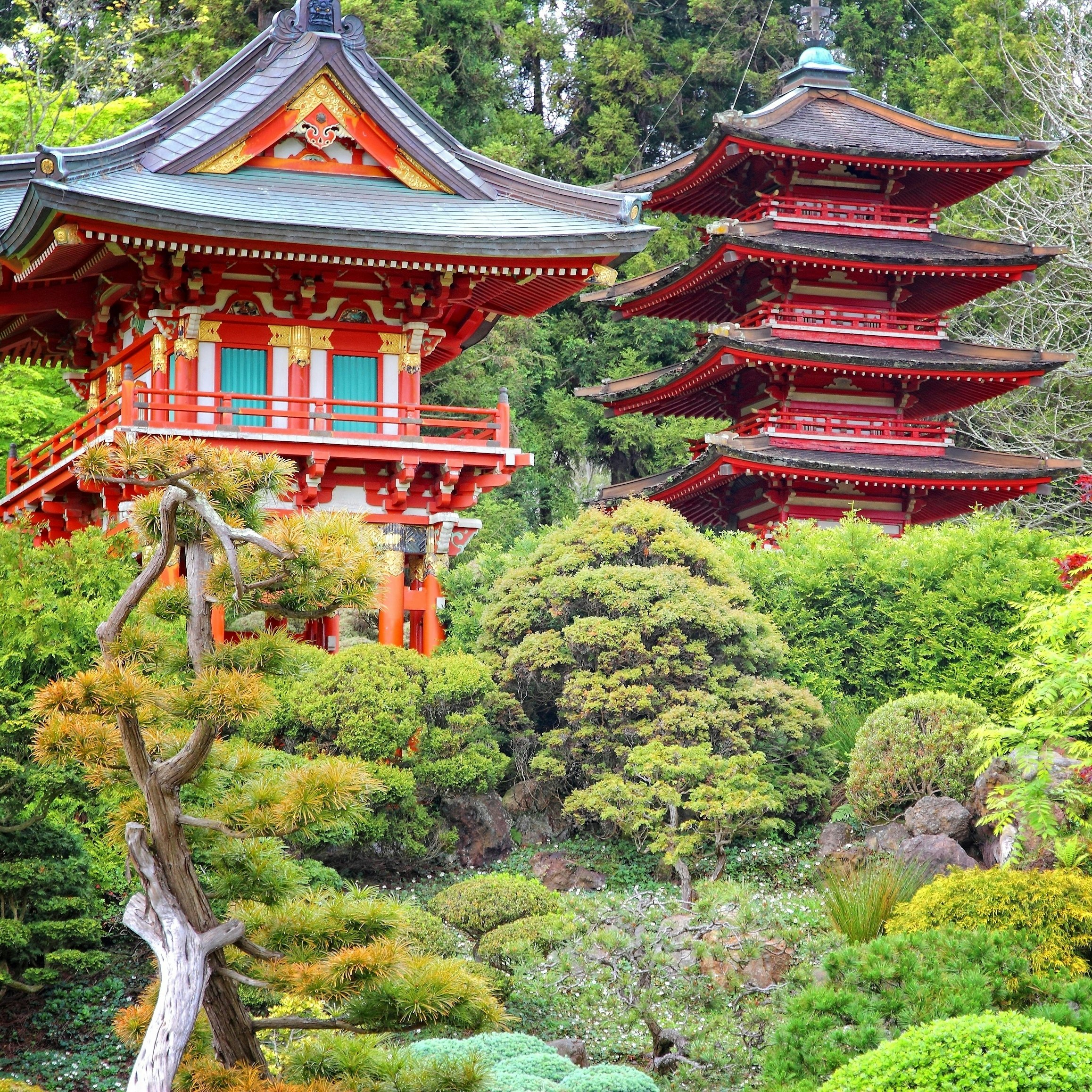 shutterstockRF_605564024.jpg