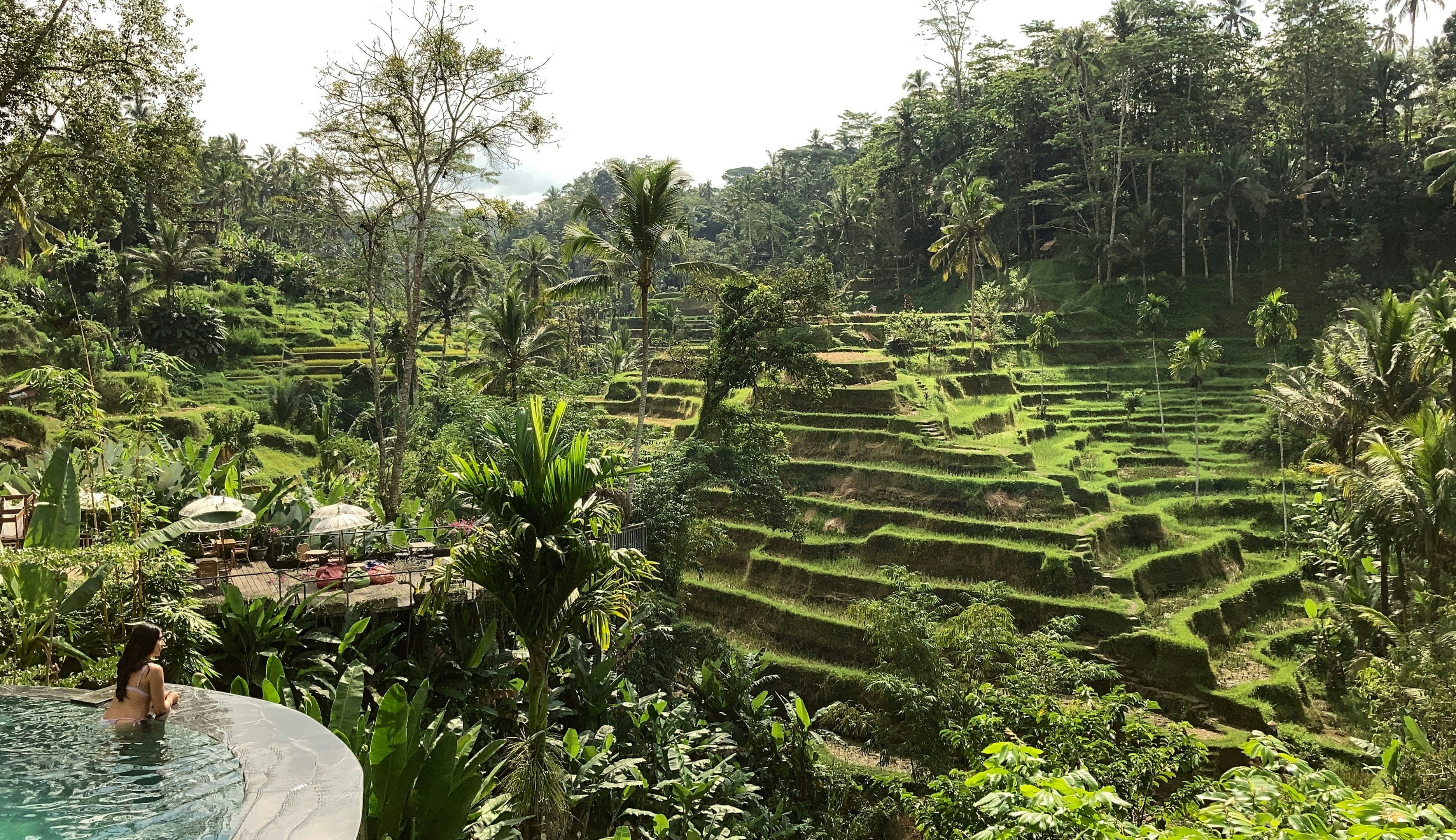 Ubudas – nuolat atsiveriantys ryžių terasų peizažai. Asyraf Rasid/Shutterstock