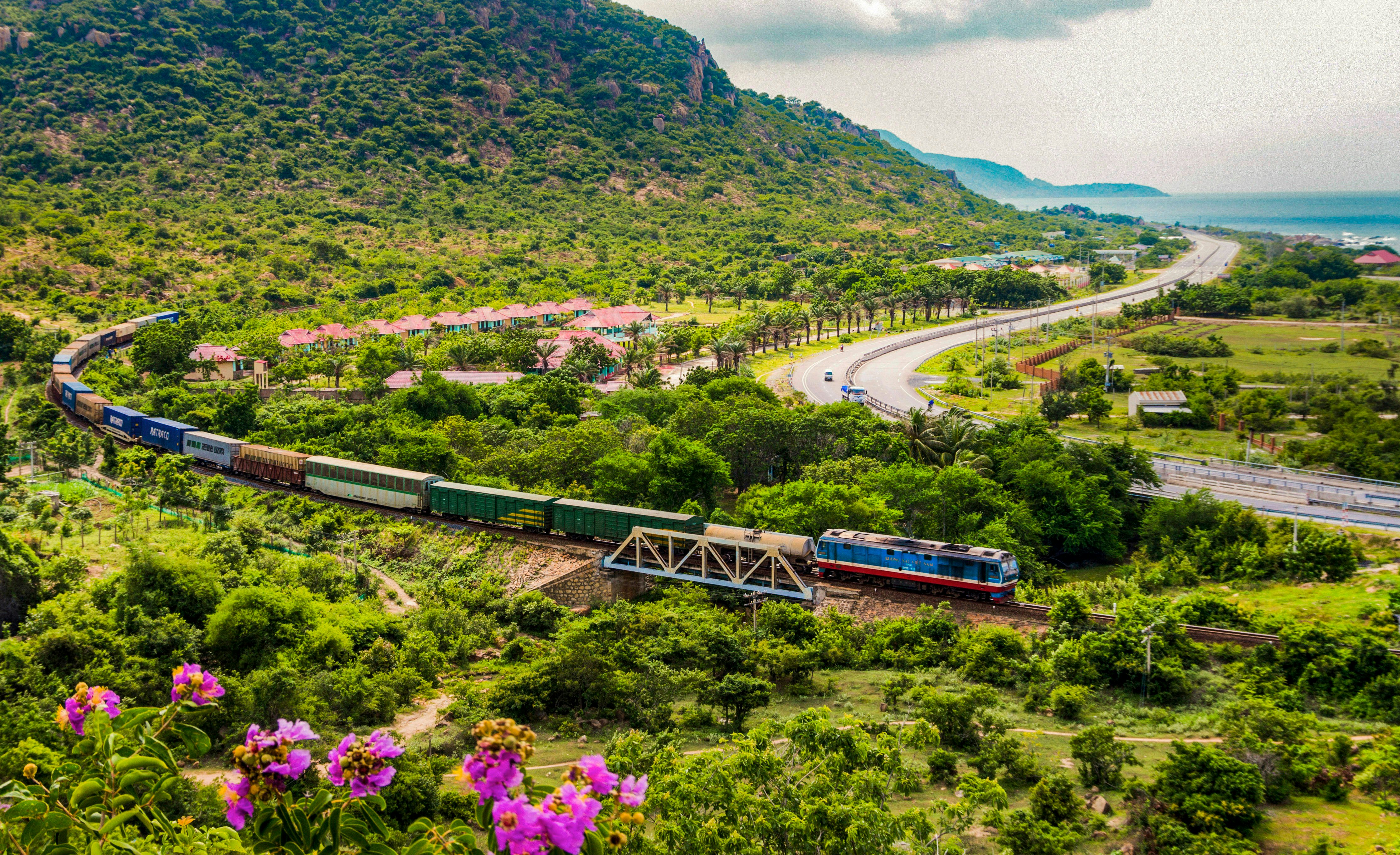 A train snakes through a green valley, with a highway next to the tracks, pink flowers in the foreground, and the sea visible in the distance