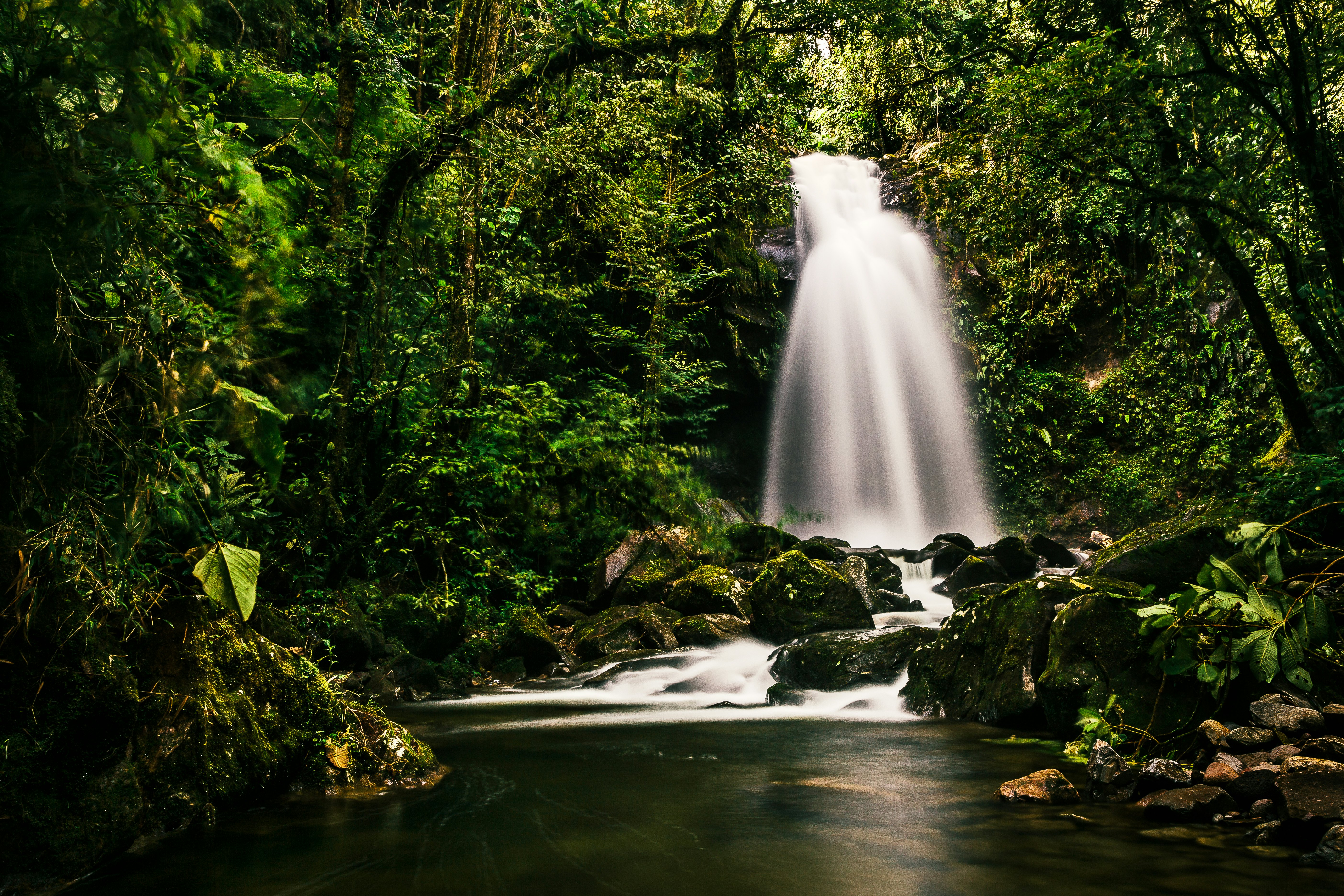 A beautiful mountain stream in the jungle forests near Boquete, Panama