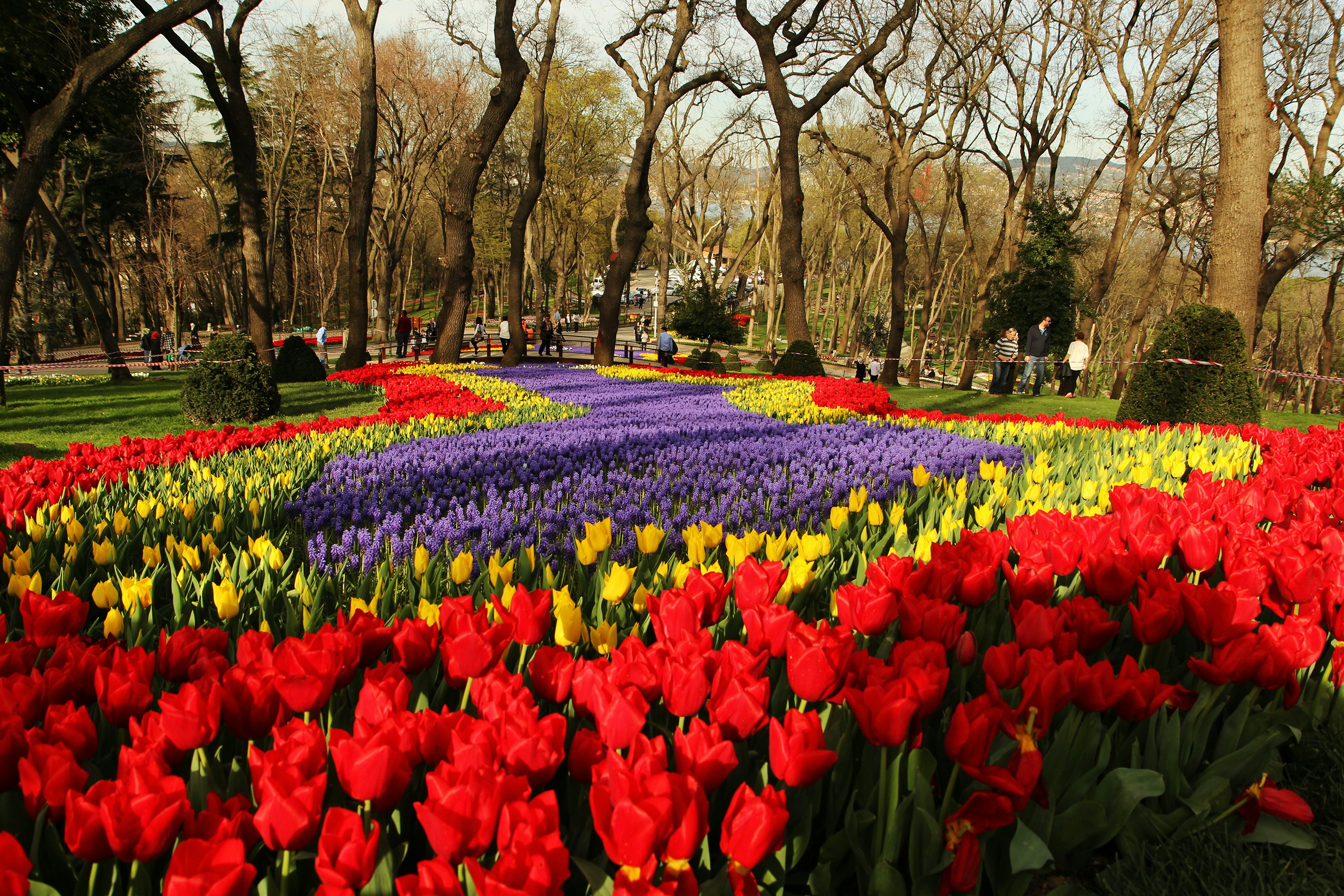 Emirgan Korusu is beatiful place in spring season istanbul,Turkey. There is tulip time festival in this place and people are visiting here during the annual festival.