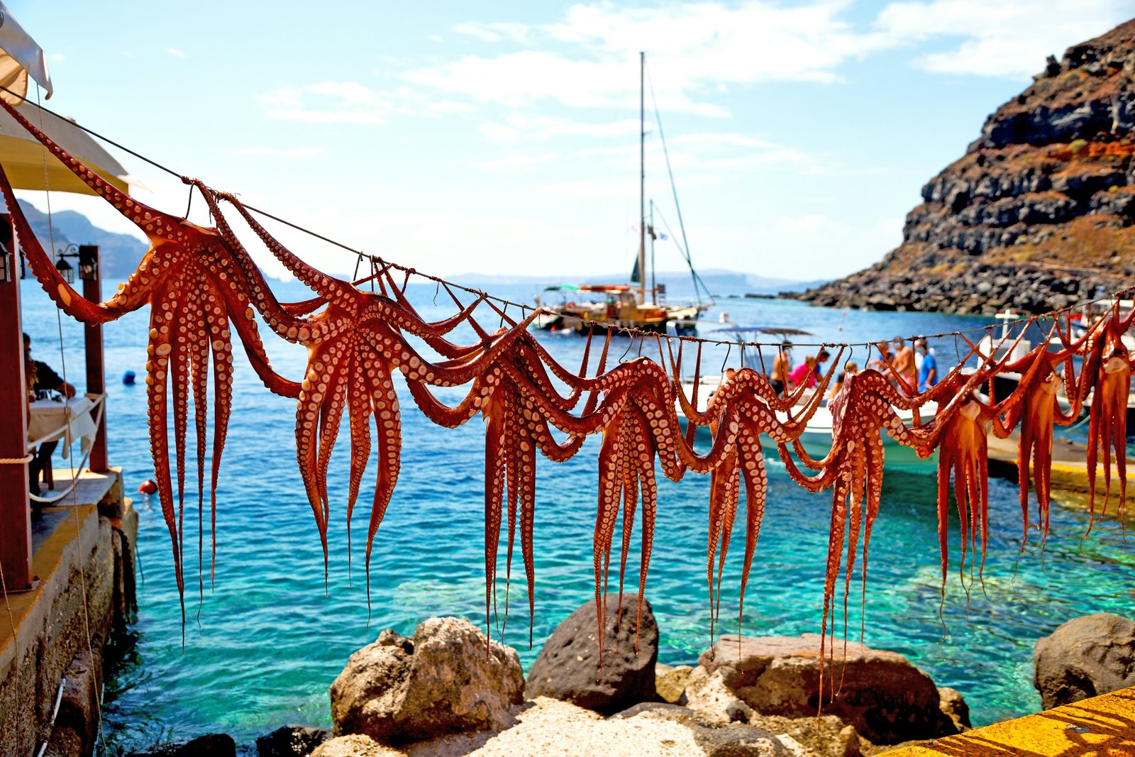 Octopus drying in the sun in Santorini.
