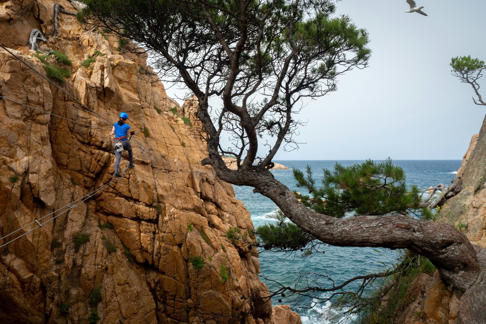 Moteris lipa via ferrata maršrutu palei uolėtą pakrantę su vaizdu į jūrą, Costa Brava