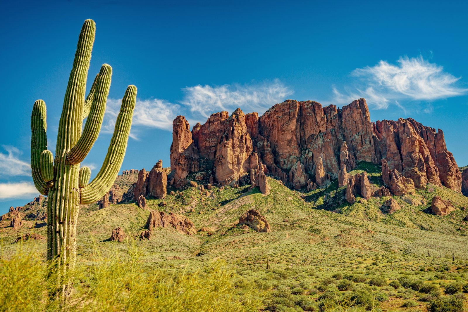 Saguaro kaktusas ir Superstition kalnai Arizonoje.