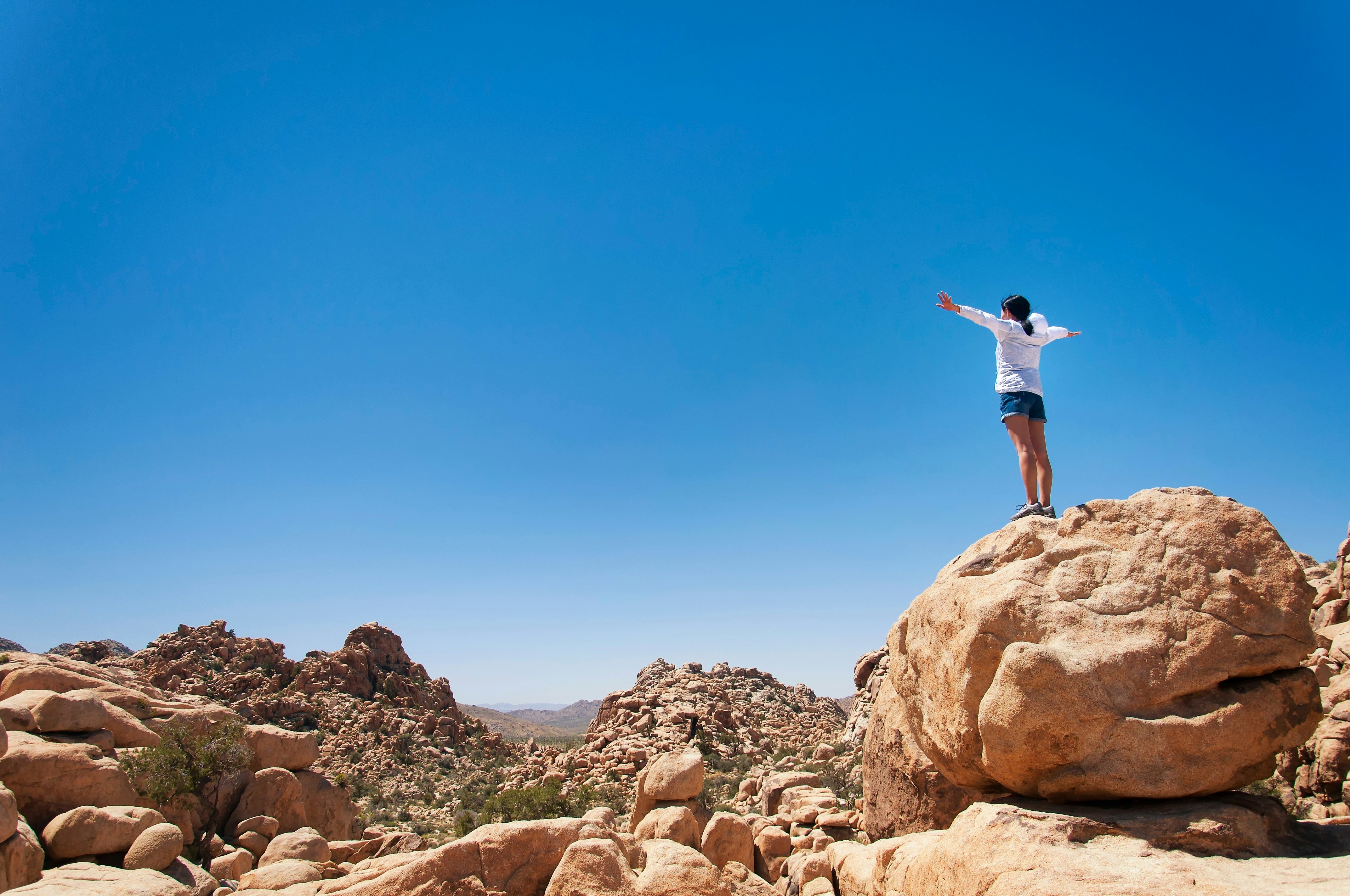 A woman standing on a large boulder overlooking a valley of rocks
