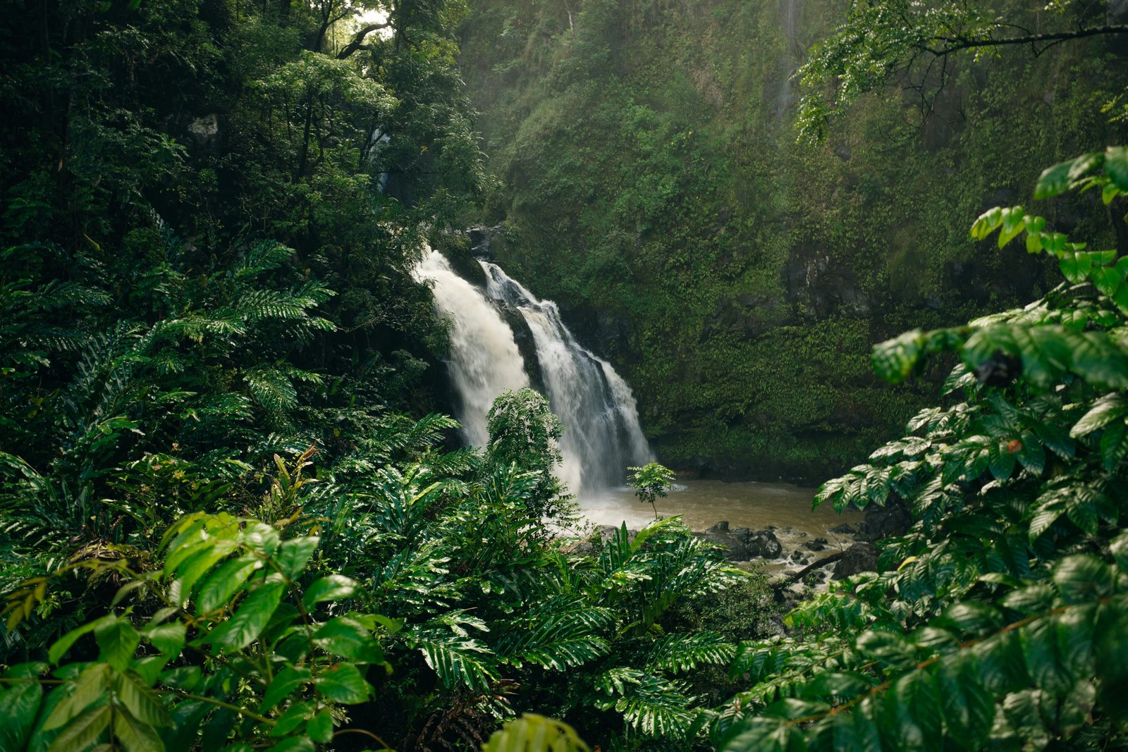 Vandens krioklys Hana kelyje, Maui, Havajai