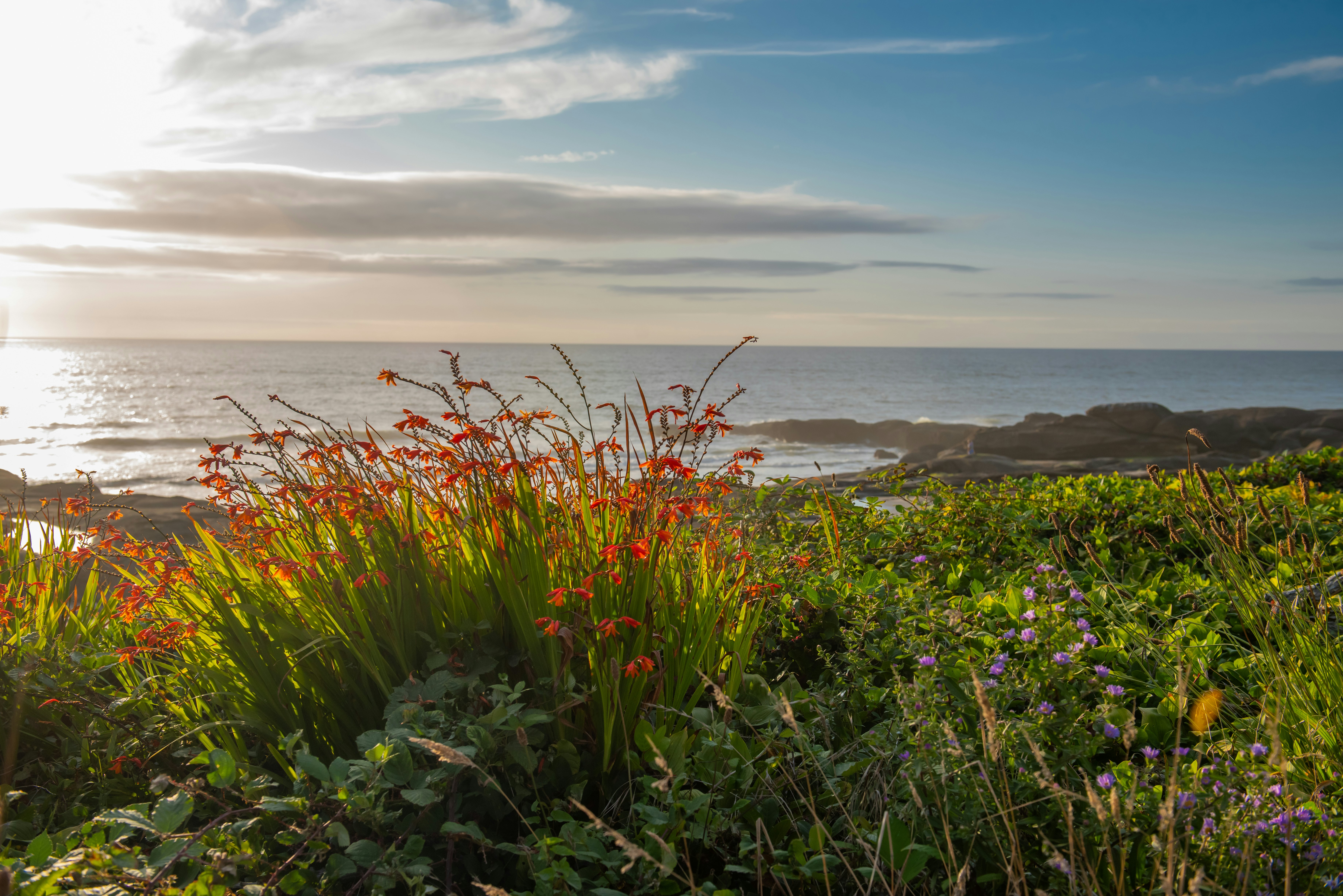 shutterstockRF_1494203099.jpg